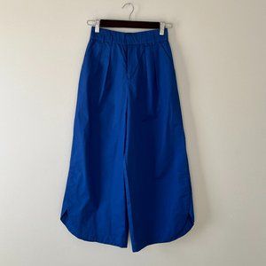 Anthropologie Wide-Leg Pants in Cobalt Blue